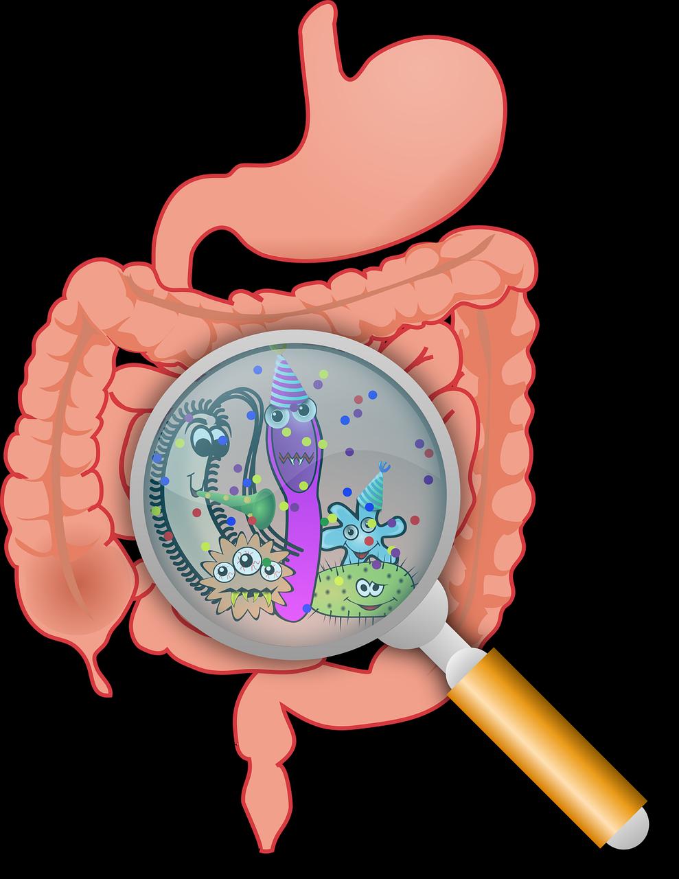 Hoe weet je of je parasieten hebt – Ars Biomedica